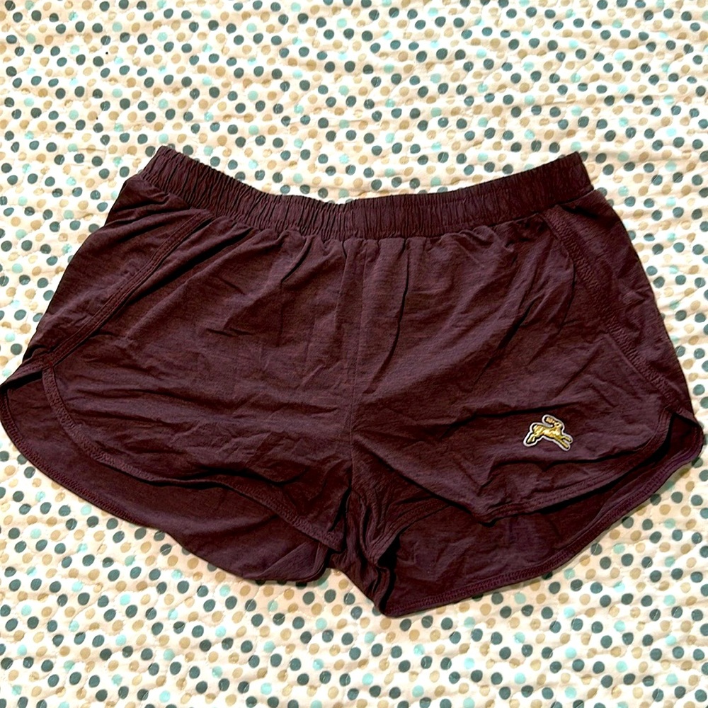 Tracksmith Shorts